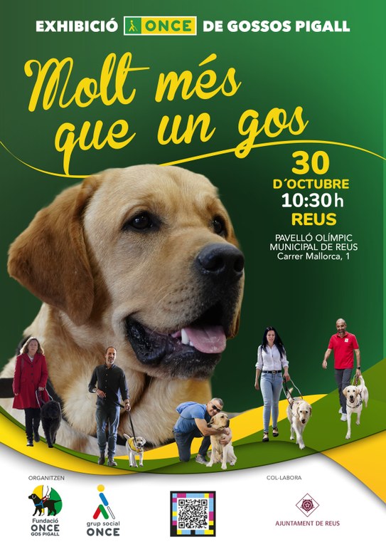 Exhibición de perros guía en la ciudad de Reus (Tarragona)