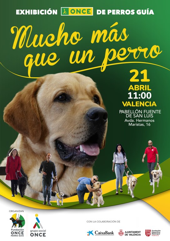 Exhibición de perros guía en la localidad de Valencia