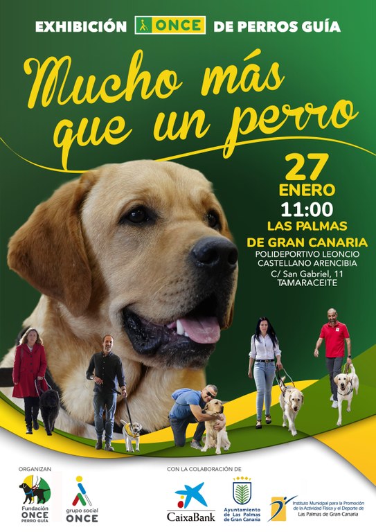Exhibición de perros guía en Las Palmas de Gran Canaria