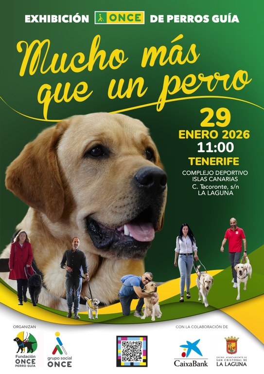 Exhibición de perros guía en Santa Cruz de Tenerife.