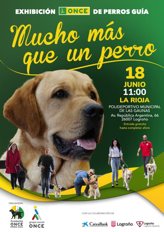 Imagen "Exhibición de la Fundación ONCE de perro guía"