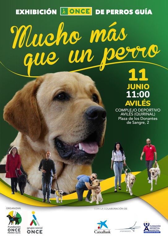 Imagen "Exhibición de la Fundación ONCE de perro guía"