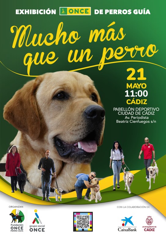 CARTEL EXHIBICION PERRO GUIA CÁDIZ