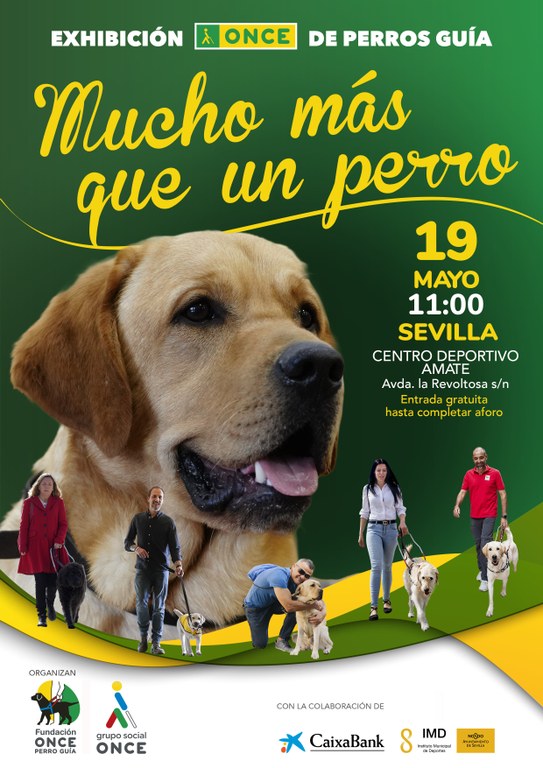 CARTEL EXHIBICION PERRO GUIA SEVILLA